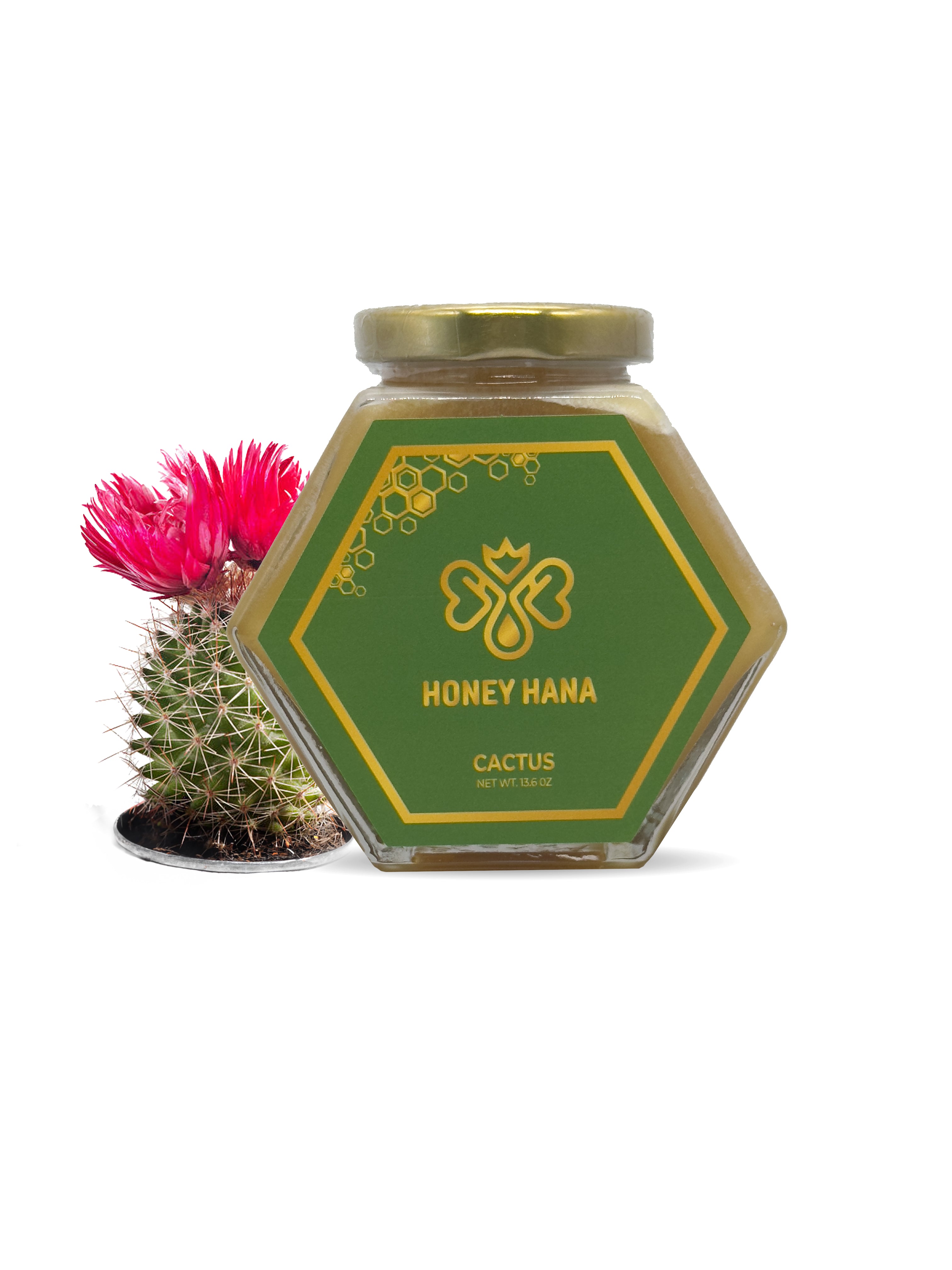 prickly pear cactus honey Cactus – Honey Hana